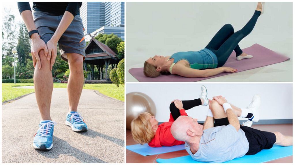 Articulation of the knee joint